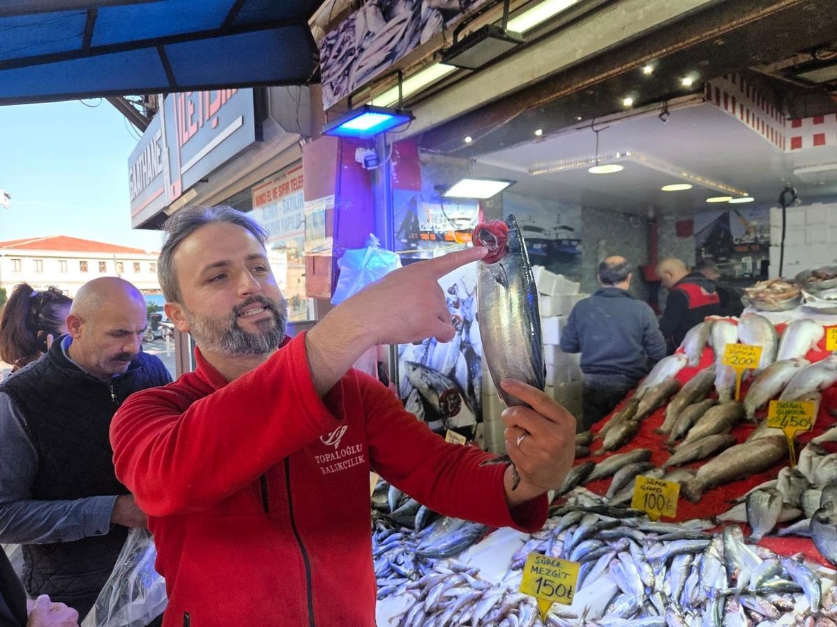 B&ouml;ylesi yaşanmadı! Alarm başladı:  Hepsini yiyor, bir an &ouml;nce tutulup ucuza satılmalı  3