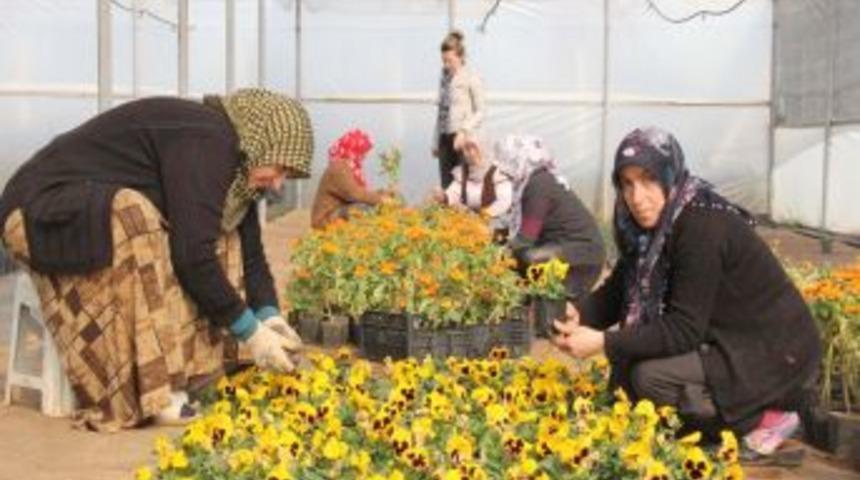 D&ouml;şemealtı&rsquo;nın &ccedil;i&ccedil;eklerini depremzedeler &uuml;retiyor