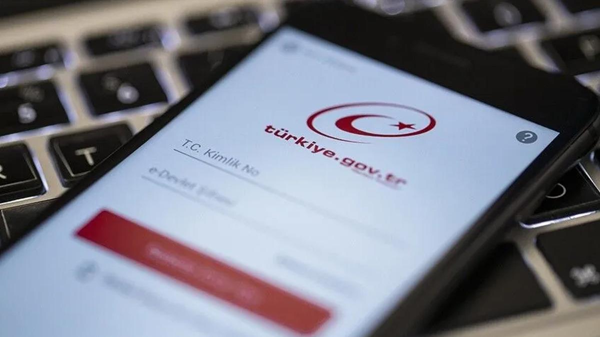 MSB açıkladı! Dedelerimizin nerede şehit düştüğünü öğrenebileceğiz: Şehit Bilgi Kapısı uygulaması erişime açıldı 3