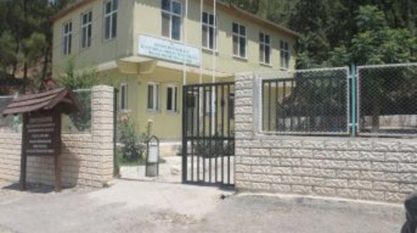 Kelaynaklar &uuml;reme i&ccedil;in doğaya bırakıldı