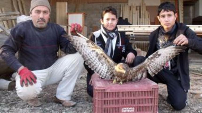 Kanadı kırık şahine k&ouml;yl&uuml;ler sahip &ccedil;ıktı