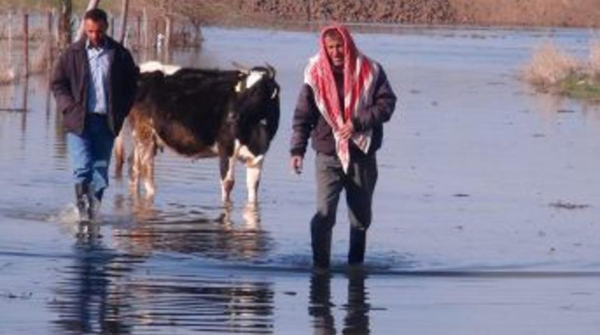 Hatay Valiliği: Selzedelere gereken yardımlar yapıldı