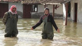 Nehir taştı, köy su altında kaldı