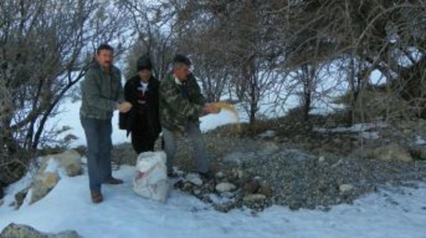 &Ccedil;emişgezek Kaymakamlığı yiyecek bulamayan yabani hayvanlara sahip &ccedil;ıktı