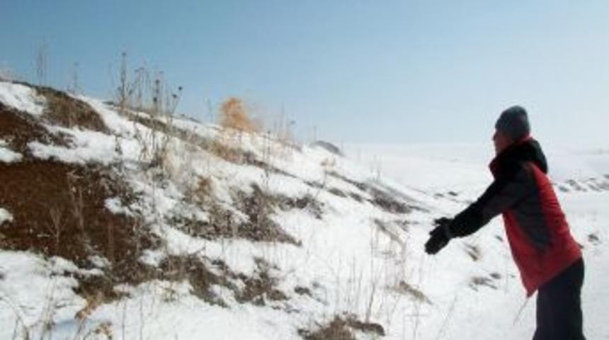 Tercan'da yaban hayvanlarına yem bırakıldı