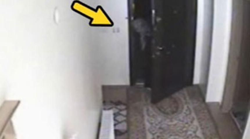 Evdeki gizli kamera her şeyi kaydetti