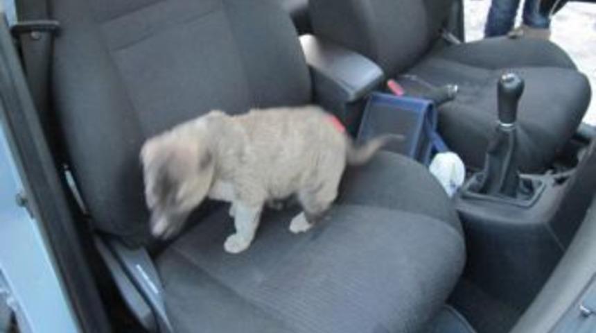 HAYTAP'ın imdat turu Ağrı'da