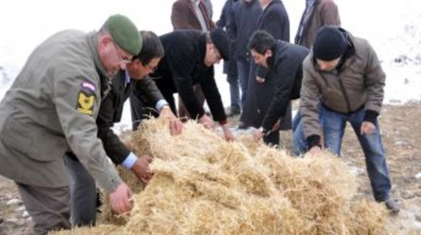 Karaman&rsquo;da yılkı atları ve yaban hayvanlarına yiyecek bırakıldı