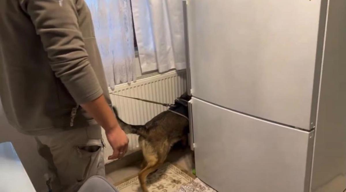 Bingöl de uyuşturucu operasyonu: 1 kişi tutuklandı 1