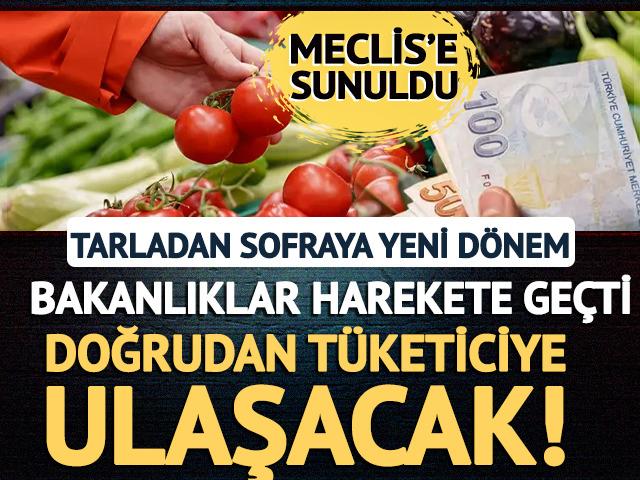 Doğrudan t&uuml;keticiye ulaşacak! Yeni Hal Yasası geliyor