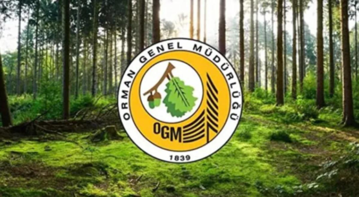 Orman Genel M&uuml;d&uuml;rl&uuml;ğ&uuml; 12 m&uuml;fettiş yardımcısı alacak! Başvuru tarihleri belli oldu 2