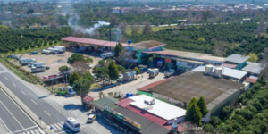 47 yıllık tarım devinden konkordato hamlesi! Binlerce ortağı var