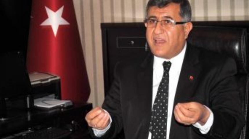 Manavgat'ta yabani hayvanlara yiyecek bırakılacak