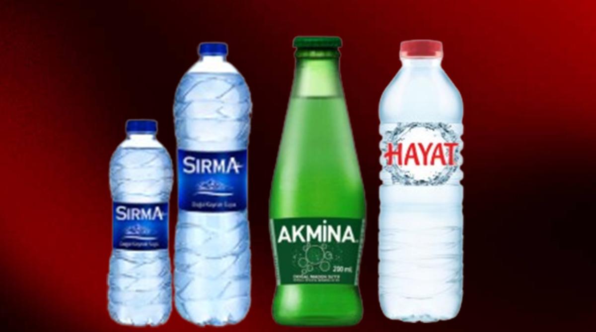 Sırma, Hayat ve Akmina satılıyor! Yeni sahibi belli oldu 1