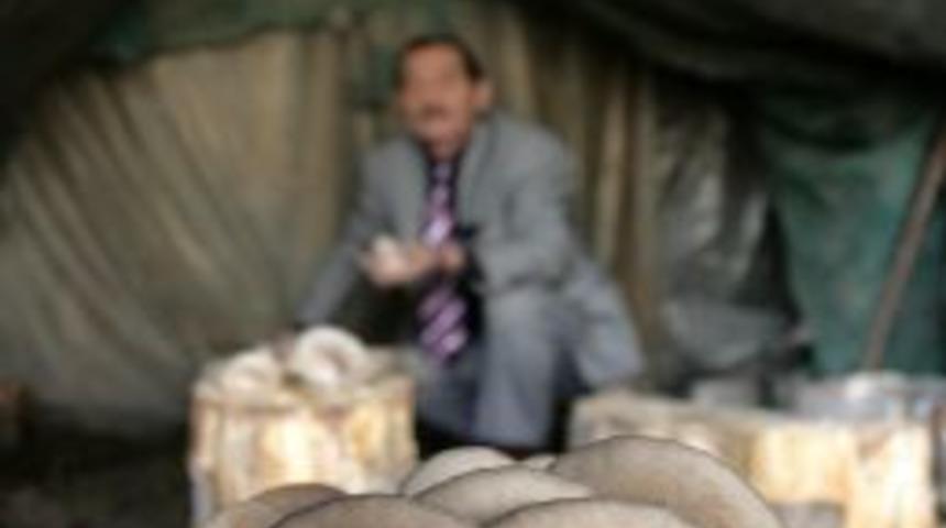 Zihinler engelliler k&uuml;lt&uuml;r mantarı &uuml;retiyor