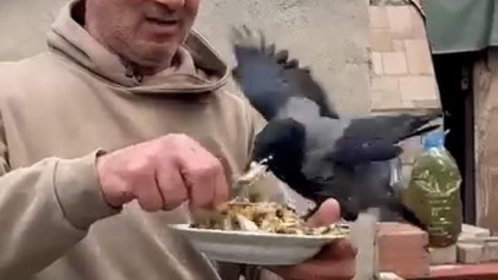 4 yıldır beslediği kargasına elleriyle balık yedirdi