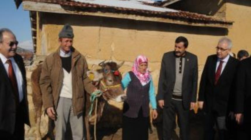 &Ccedil;orum'da &ccedil;ift&ccedil;ilere 360 damızlık d&uuml;ve dağıtıldı