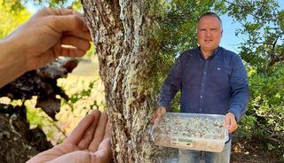 T&uuml;rkiye'de sadece 2 yerde yetişiyor: Kilosu 50 bin lirayı buluyor
