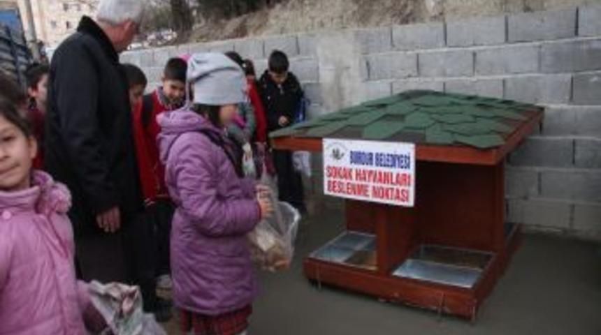 Belediye hayvan besleme noktasına minikler sahip &ccedil;ıkıyor