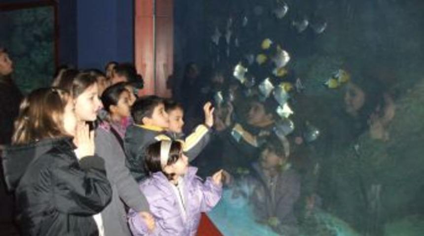 &Ccedil;ocuk Kul&uuml;b&uuml; &uuml;yeleri Deniz D&uuml;nyası'nı keşfetti