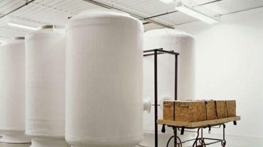 Buzun i&ccedil;inde yeniden canlanmayı bekliyorlar