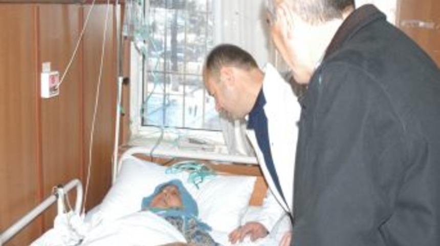 Mal varlığını sahipsiz hayvanlara bağışladı