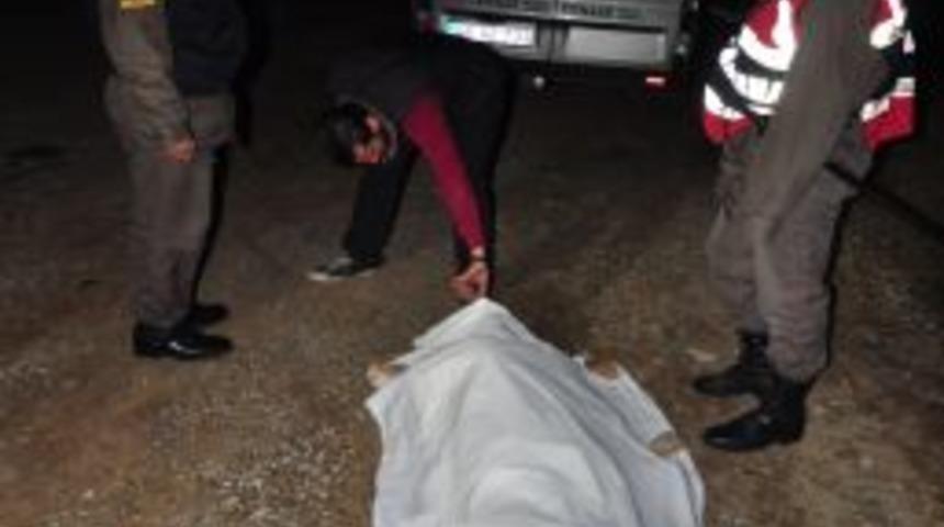 Emanet arabayla kaza yapan s&uuml;r&uuml;c&uuml; hayatını kaybetti