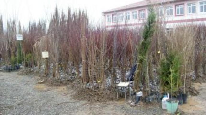 Turhal Tarım Müdürlüğü: Sertifikasız ve faturasız fidan almayalım