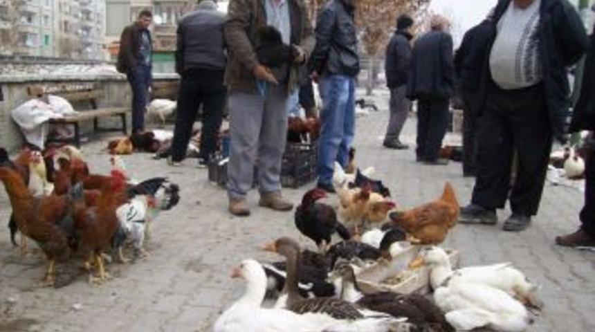 Kanatlı hayvan satan esnaf, satışların d&uuml;şmesinden yakındı