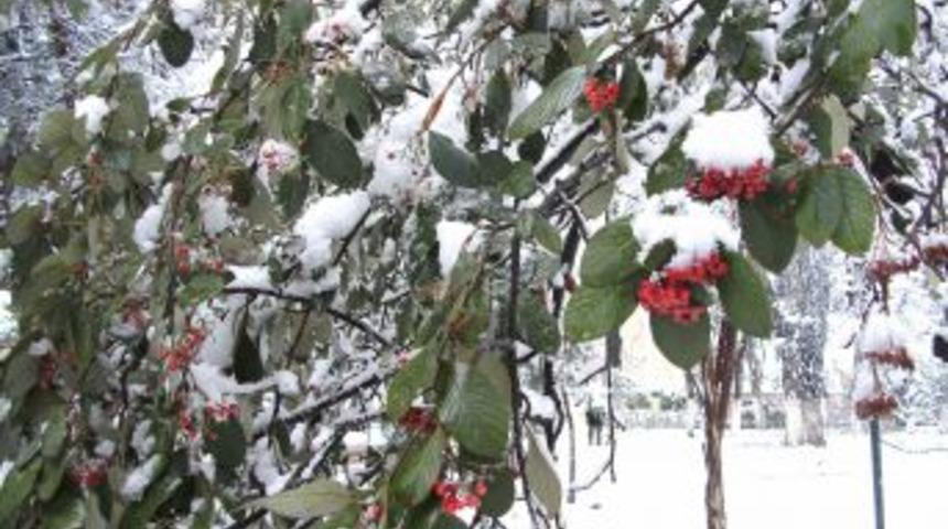 Erbaa&rsquo;da 50 k&ouml;y yolu ulaşıma kapandı