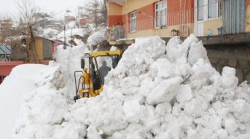 Bitlis Belediyesi şehirdeki karları kamyonlarla şehir dışına taşıyor