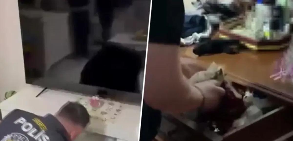 7 saniye detayından sonra WhatsApp yazışmaları da ortaya çıktı: “Fena para yapacağız” 3