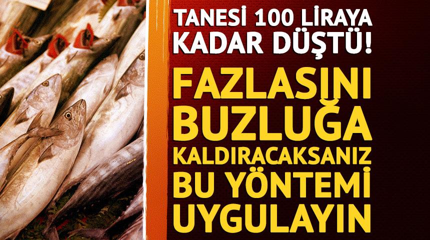 Tanesi 100 liraya kadar d&uuml;şt&uuml;! Palamudun fazlasını buzluğa kaldıracaksanız bu y&ouml;ntemi uygulayın