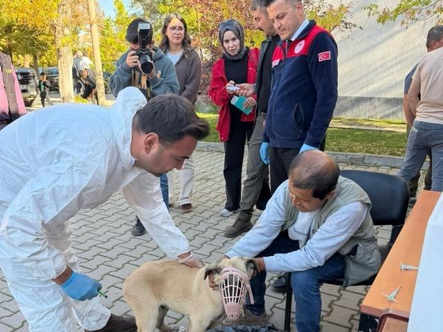 Afşin&rsquo;de kuduzla toplu m&uuml;cadele: 230 hayvan aşılandı, 60&rsquo;ına mikro&ccedil;ip takıldı 2