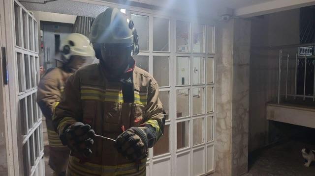 İskenderun&rsquo;da yerleşim yerinde g&ouml;r&uuml;len yılan yakalanarak doğaya bırakıldı 1