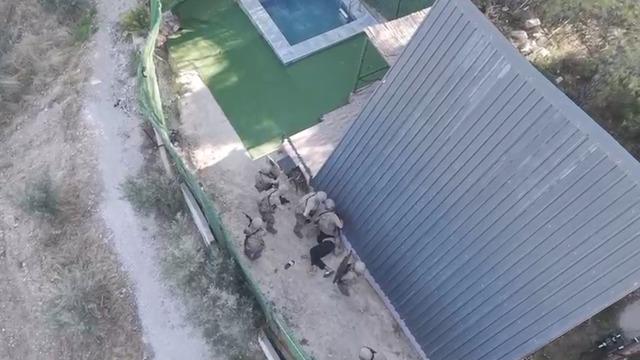 İzmir’de 9 yıldır aranan firari hükümlü özel harekât destekli operasyonla yakalandı