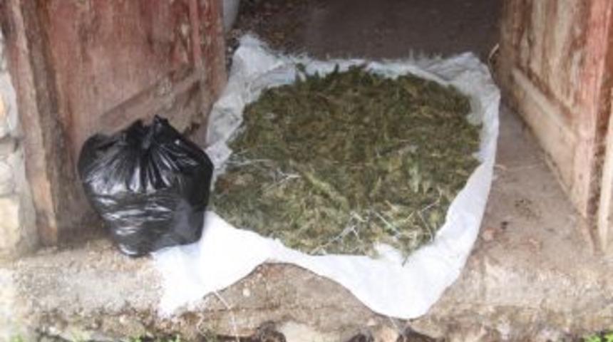 Alanya'da polis 5 kilogram esrar ele geçirdi