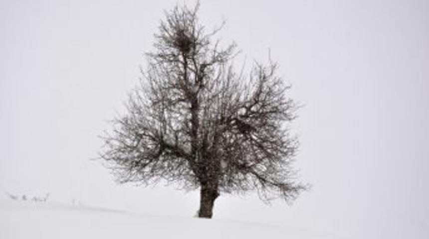 Tatvan&rsquo;da eğitime bir g&uuml;n ara verildi