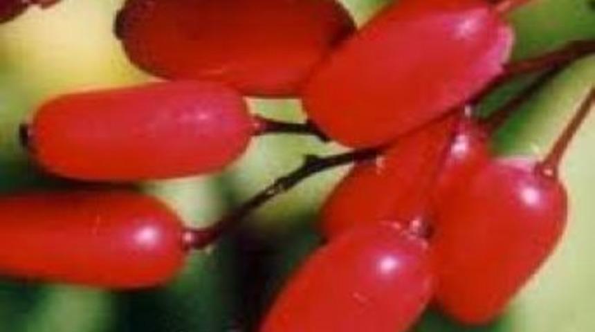 Azdavay'ın 'Kara &Ccedil;orbası' her derde deva