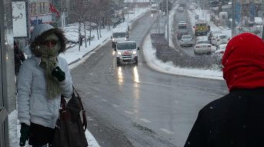 Martıların balık kampa yarışı