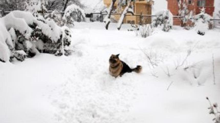 Ereğli il&ccedil;esinde kar yağışı sebebiyle okullar yarın da tatil