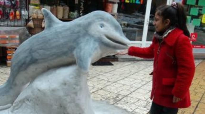 Kardan Yunus balığı çocukların ilgi odağı oldu