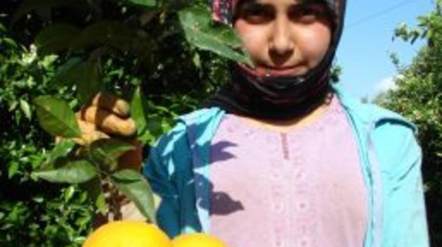 Badak: Desteklemelerle Antalya'yı turun&ccedil; yetiştiriciliğinde marka yapacağız