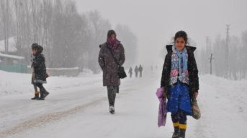Şenovalı &ouml;ğrencilerin başıboş k&ouml;pek korkusu