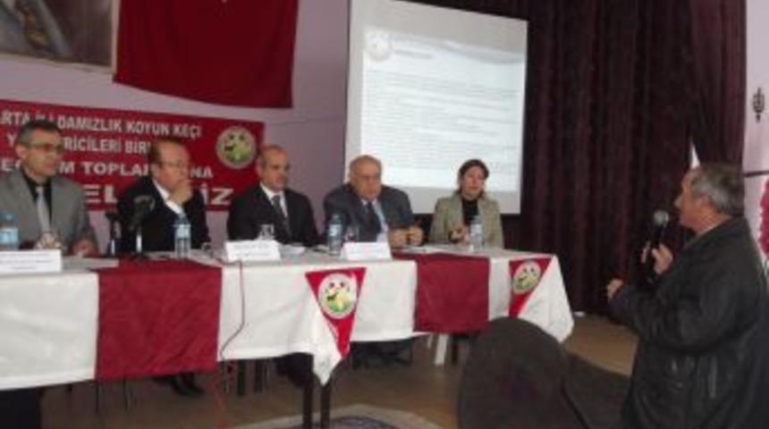 Yalva&ccedil;'ta k&uuml;&ccedil;&uuml;k baş hayvancılığın sorunları tartışıldı