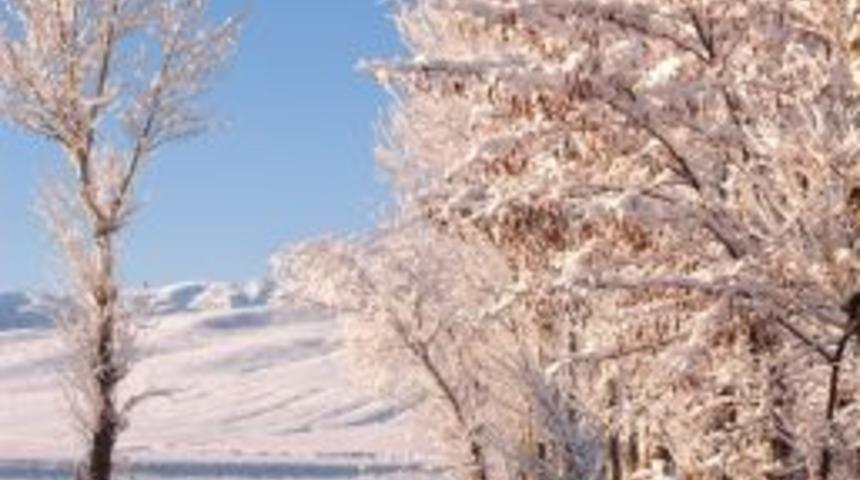 Kardan ağa&ccedil;lar kış mevsiminin g&uuml;zelliğini yansıtıyor