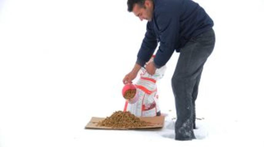 Pursaklar'da yaban hayvanları i&ccedil;in doğaya yem bırakıldı