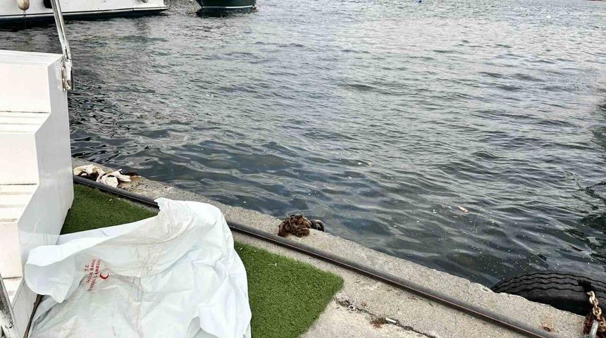 Yer: İstanbul! Denizde erkek cesedi bulundu
