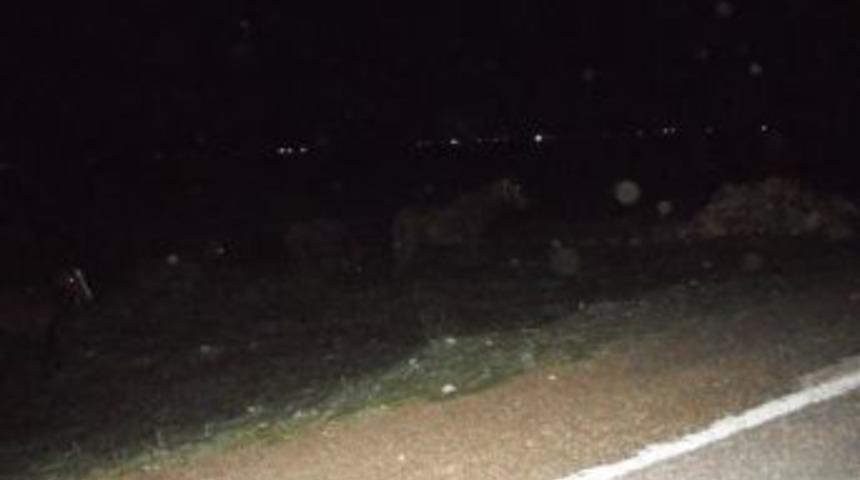 Kazaya davetiye &ccedil;ıkarıyorlar