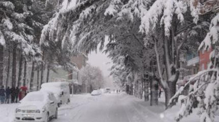 Bitlis'te 300 k&ouml;y yolu ulaşıma kapandı